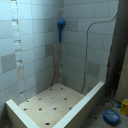 Rénovation Salle de Bain : Modernisation et Rafraîchissement de votre Espace Pointe-Noire